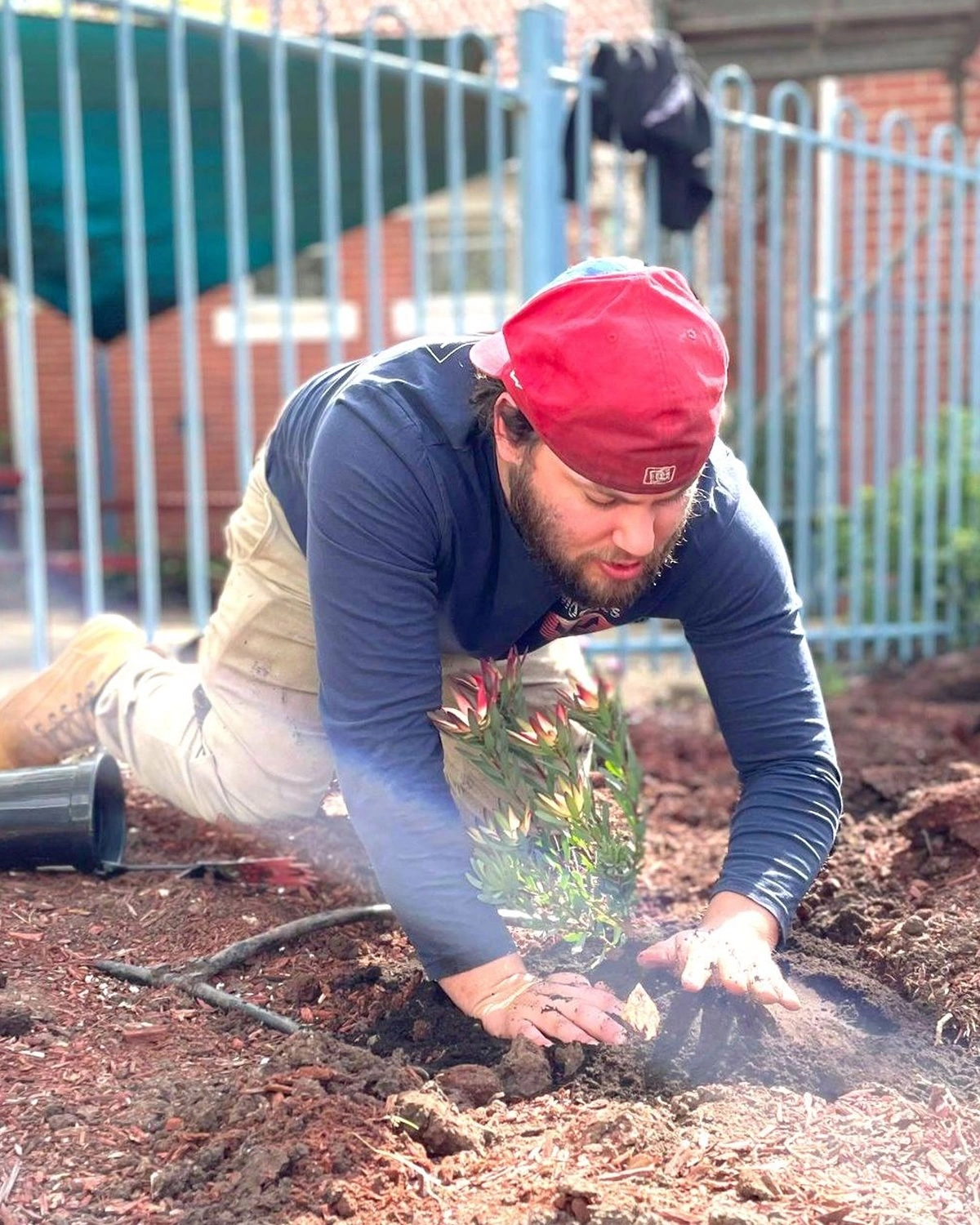 A man plants a small bush at NDIS registered disability service Distinctive Options