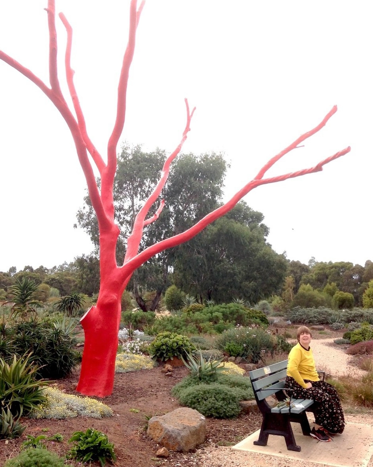 A woman seats on a park bench in a nature park at NDIS registered disability provider Distinctive Options
