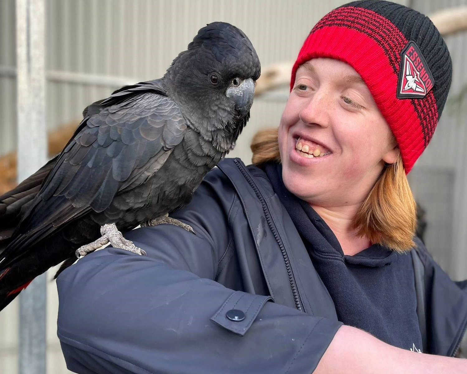 A cockatoo sits on the shoulder of a young woman who smiles at NDIS registered disability service Distinctive Options 