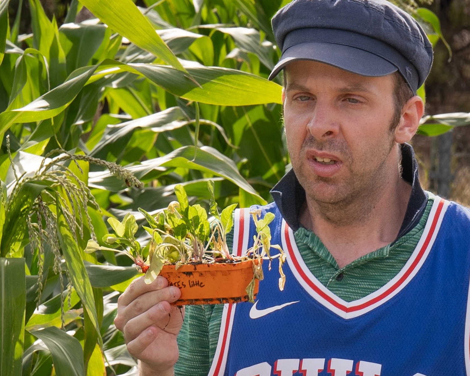 A man holds a punnet of seedlings in a garden at Distinctive Options volunteering